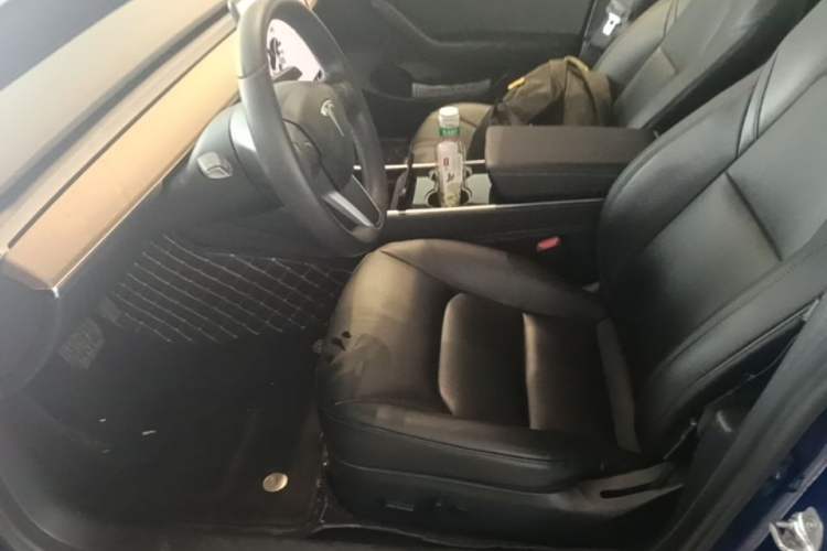 Used Tesla Model 3 2019 Standard Range Rear-Drive Upgraded Version Left Front Seat