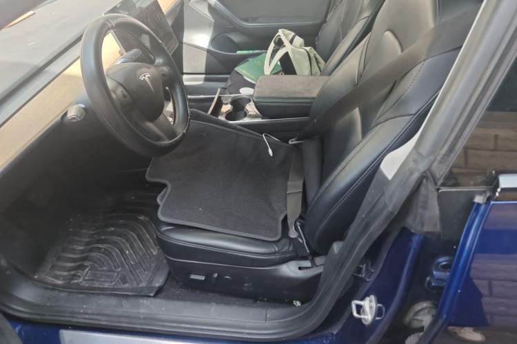 Used Tesla Model 3 2019 Standard Range Rear-Drive Upgraded Version Left Front Seat