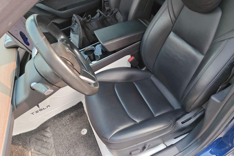 Used Tesla Model 3 2019 Long-Range Rear-Wheel-Drive Version Left Front Seat