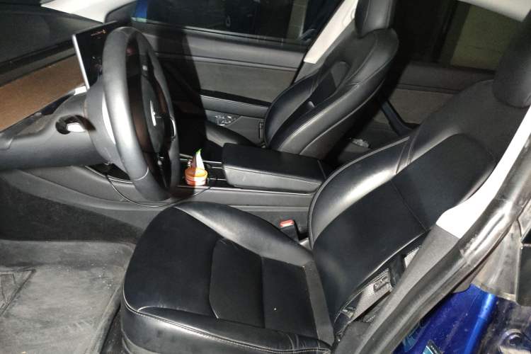 Used Tesla Model 3 2019 Long-Range All-Wheel-Drive Version Left Front Seat