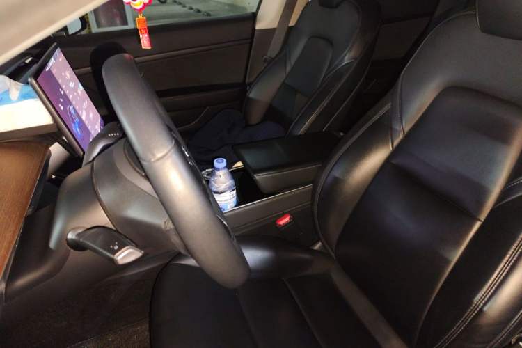 Used Tesla Model 3 2019 Standard Range Rear-Drive Upgraded Version Left Front Seat