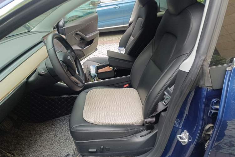 Used Tesla Model 3 2019 Standard Range Rear-Drive Upgraded Version Left Front Seat