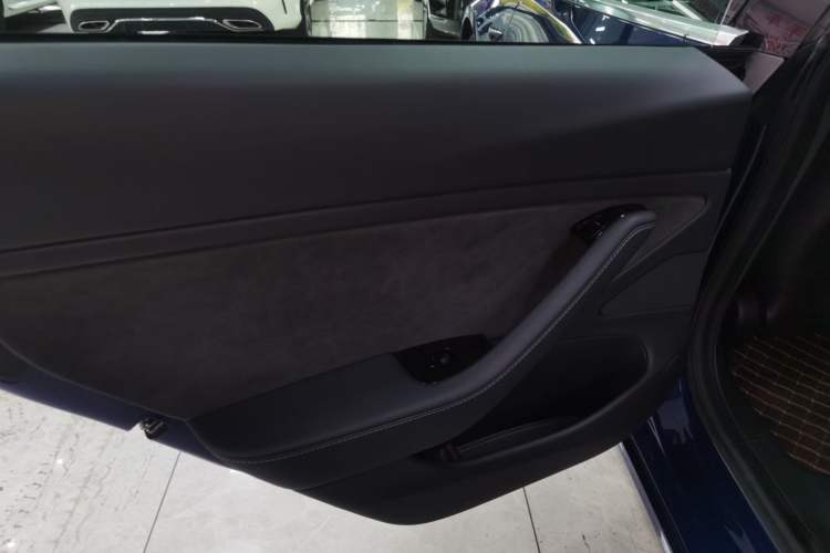 Used Tesla Model 3 2019 Long-Range All-Wheel-Drive Version Left Rear Door Interior