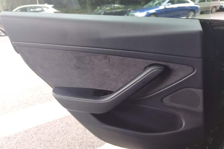 Used Tesla Model 3 2019 Performance High-Performance All-Wheel-Drive Version Left Rear Door Interior