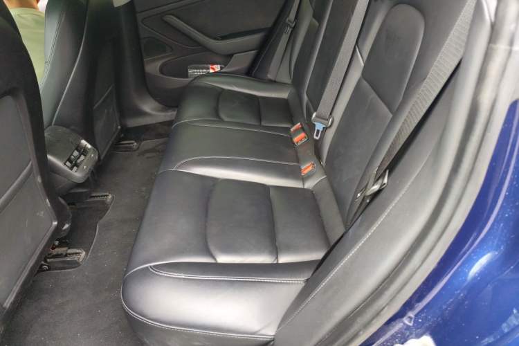 Used Tesla Model 3 2019 Standard Range Rear-Wheel Drive Upgraded Version (60 kWh) Left Rear Seat
