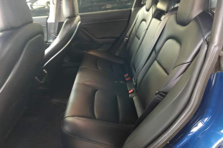 Used Tesla Model 3 2019 Long-Range Rear-Wheel-Drive Version Left Rear Seat