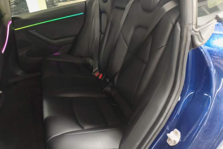 Used Tesla Model 3 2019 Long-Range Rear-Wheel-Drive Version Left Rear Seat