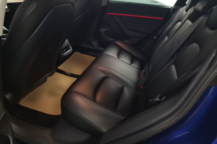 Used Tesla Model 3 2019 Standard Range Rear-Drive Upgraded Version Left Rear Seat