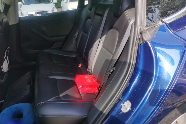 Used Tesla Model 3 2019 Long-Range Rear-Wheel-Drive Version Left Rear Seat