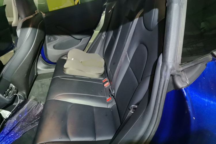 Used Tesla Model 3 2019 Long-Range Rear-Wheel-Drive Version Left Rear Seat