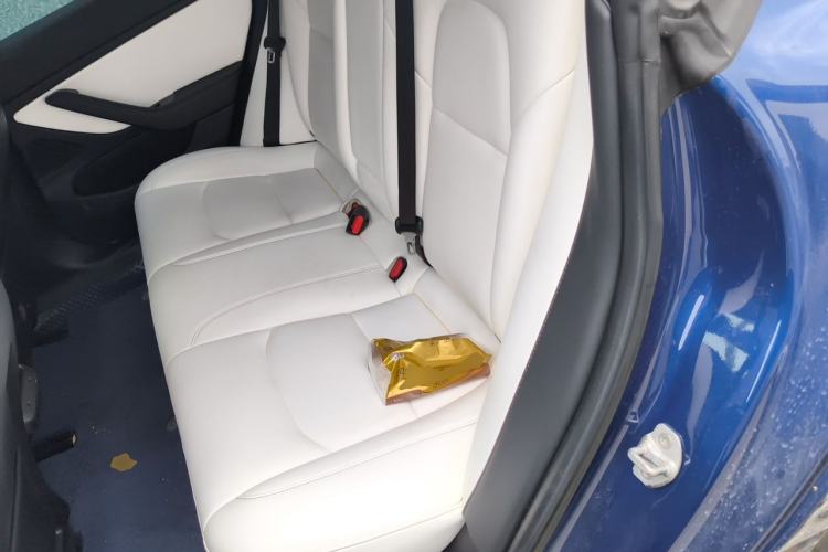 Used Tesla Model 3 2019 Performance High-Performance All-Wheel-Drive Version Left Rear Seat