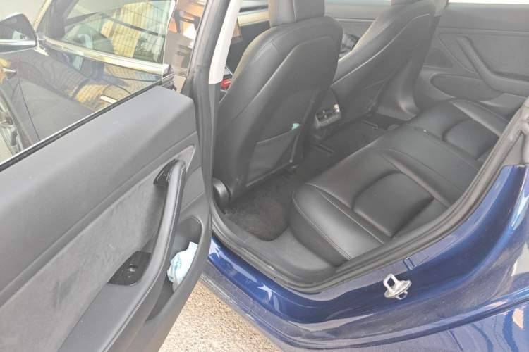 Used Tesla Model 3 2019 Long-Range All-Wheel-Drive Version Left Rear Seat
