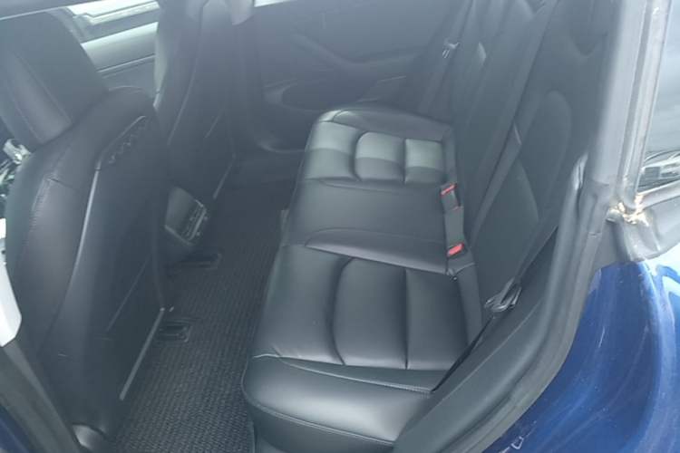 Used Tesla Model 3 2019 Standard Range Rear-Drive Upgraded Version Left Rear Seat