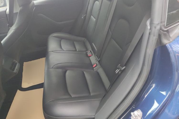 Used Tesla Model 3 2019 Long-Range Rear-Wheel-Drive Version Left Rear Seat