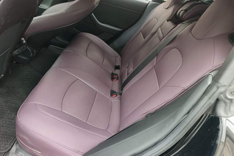Used Tesla Model 3 2019 Long-Range Rear-Wheel-Drive Version Left Rear Seat
