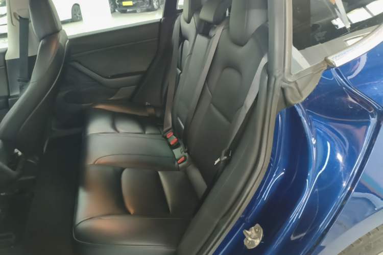 Used Tesla Model 3 2019 Long-Range Rear-Wheel-Drive Version Left Rear Seat
