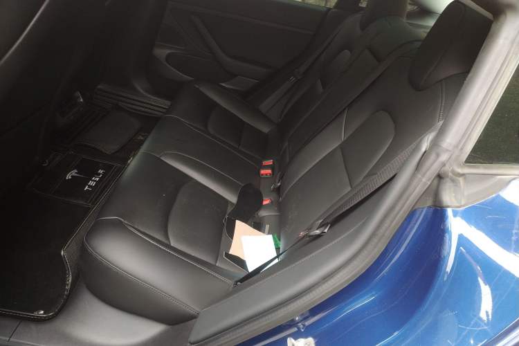 Used Tesla Model 3 2019 Standard Range Rear-Drive Upgraded Version Left Rear Seat