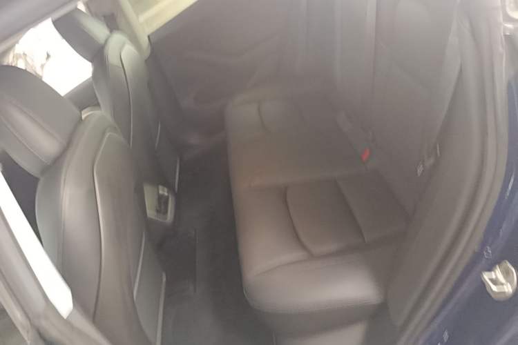 Used Tesla Model 3 2019 Long-Range Rear-Wheel-Drive Version Left Rear Seat