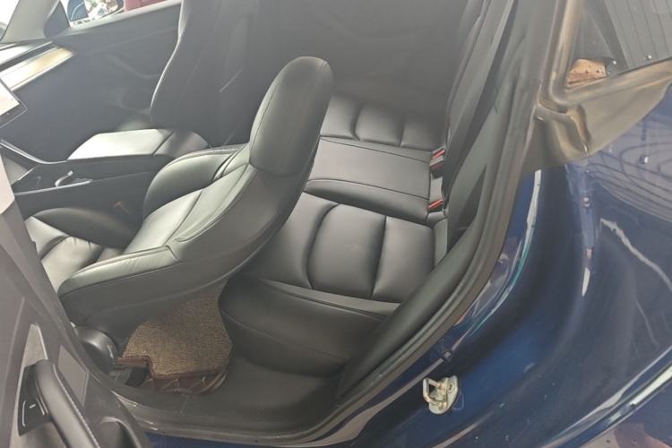 Used Tesla Model 3 2019 Standard Range Rear-Drive Upgraded Version Left Rear Seat