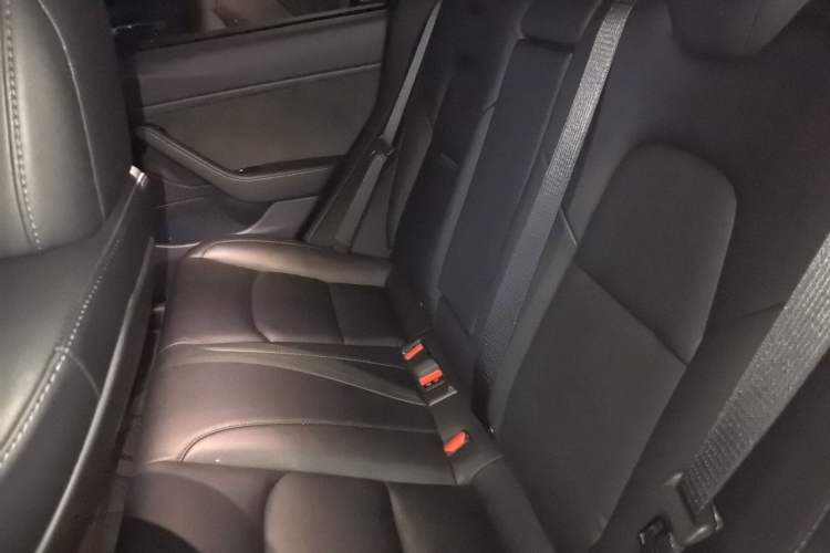 Used Tesla Model 3 2019 Long-Range Rear-Wheel-Drive Version Left Rear Seat
