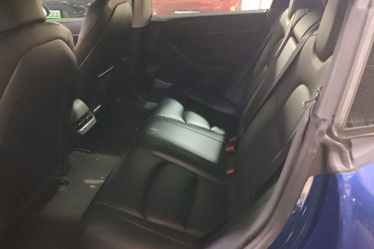 Used Tesla Model 3 2019 Standard Range Rear-Drive Upgraded Version
