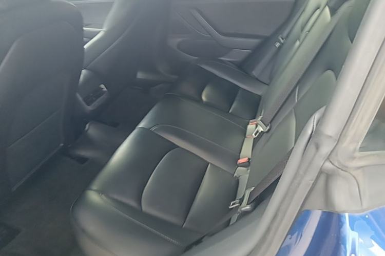 Used Tesla Model 3 2019 Standard Range Rear-Drive Upgraded Version Left Rear Seat