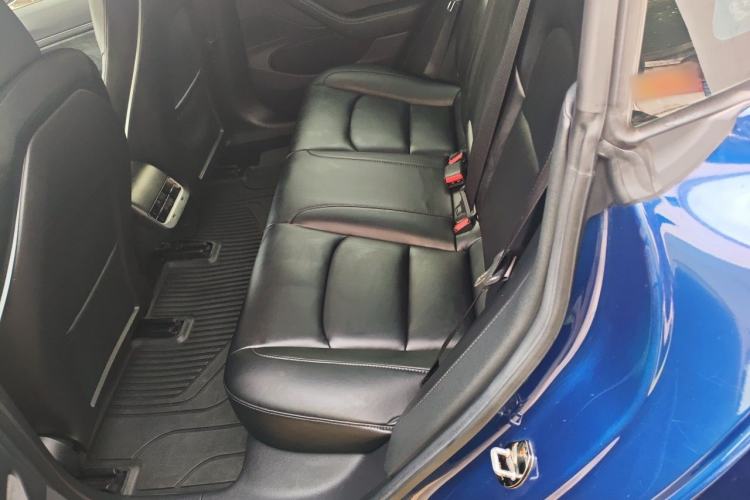 Used Tesla Model 3 2019 Long-Range Rear-Wheel-Drive Version Left Rear Seat
