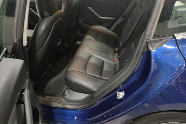 Used Tesla Model 3 2019 Long-Range Rear-Wheel-Drive Version Left Rear Seat