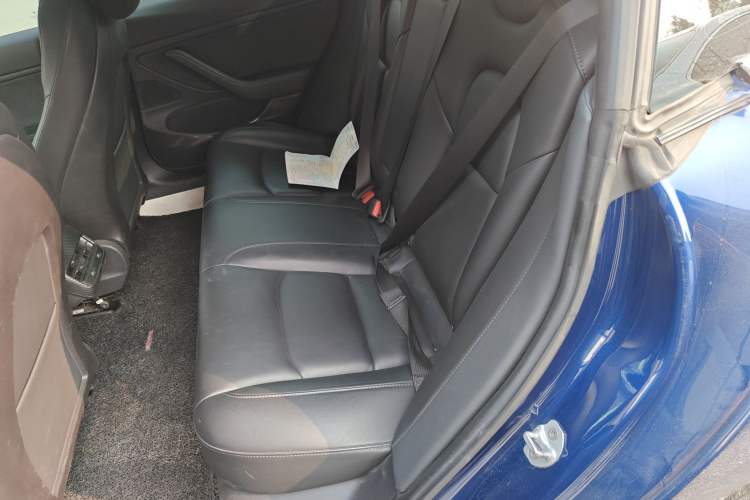 Used Tesla Model 3 2019 Long-Range Rear-Wheel-Drive Version Left Rear Seat