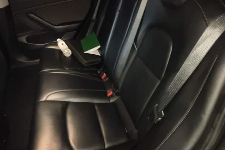 Used Tesla Model 3 2019 Long-Range Rear-Wheel-Drive Version Left Rear Seat