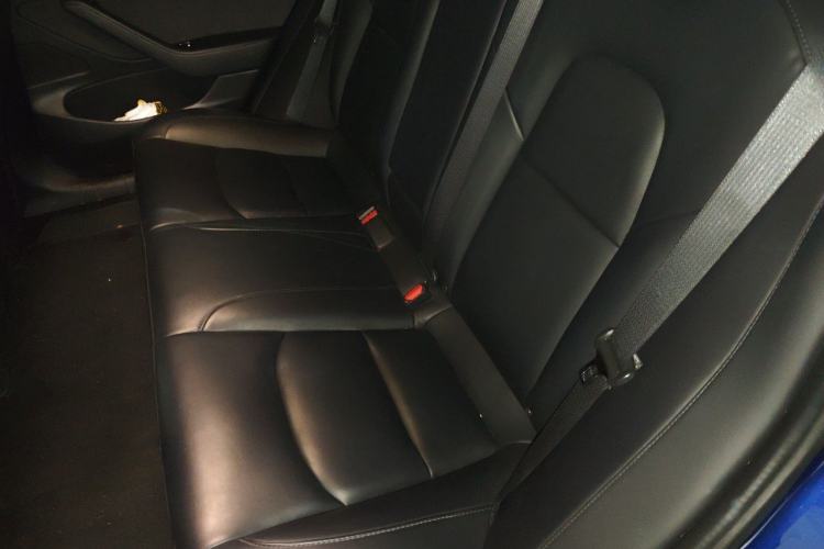 Used Tesla Model 3 2019 Standard Range Rear-Drive Upgraded Version Left Rear Seat