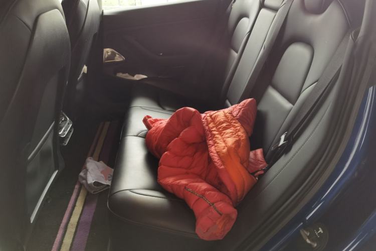 Used Tesla Model 3 2019 Long-Range Rear-Wheel-Drive Version Left Rear Seat