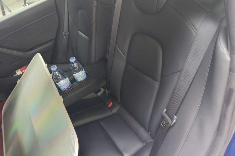 Used Tesla Model 3 2019 Long-Range Rear-Wheel-Drive Version Left Rear Seat