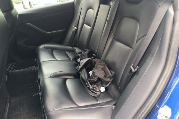 Used Tesla Model 3 2019 Standard Range Rear-Drive Upgraded Version Left Rear Seat