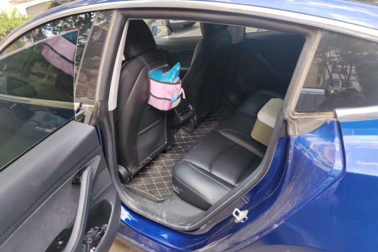 Used Tesla Model 3 2019 Long-Range All-Wheel-Drive Version Left Rear Seat