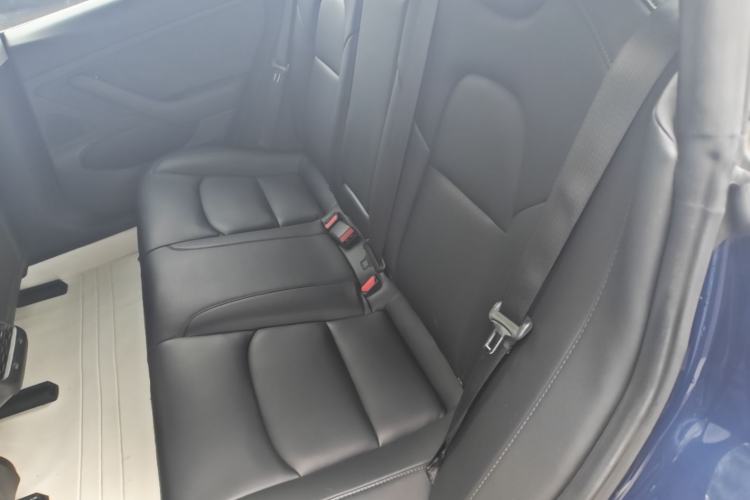 Used Tesla Model 3 2019 Long-Range Rear-Wheel-Drive Version Left Rear Seat