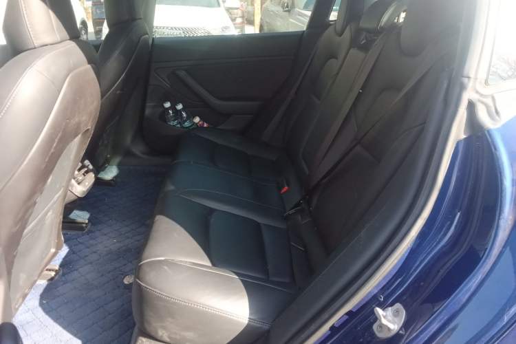 Used Tesla Model 3 2019 Long-Range Rear-Wheel-Drive Version Left Rear Seat