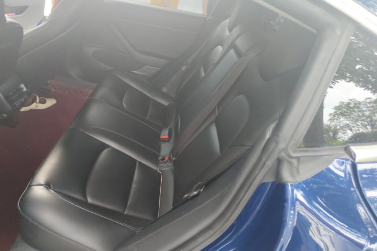Used Tesla Model 3 2019 Standard Range Rear-Drive Upgraded Version Left Rear Seat