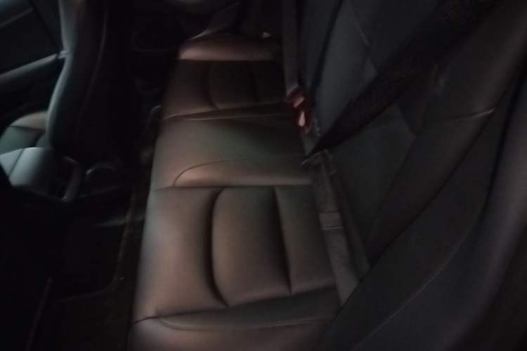 Used Tesla Model 3 2019 Standard Range Rear-Drive Upgraded Version Left Rear Seat