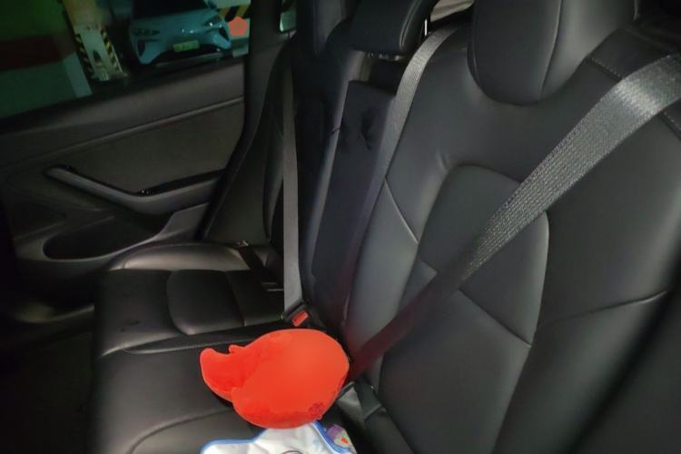 Used Tesla Model 3 2019 Long-Range All-Wheel-Drive Version Left Rear Seat