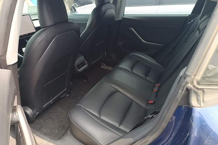 Used Tesla Model 3 2019 Standard Range Rear-Drive Upgraded Version Left Rear Seat