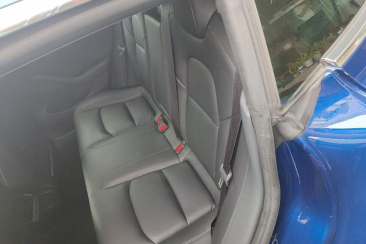 Used Tesla Model 3 2019 Long-Range All-Wheel-Drive Version Left Rear Seat