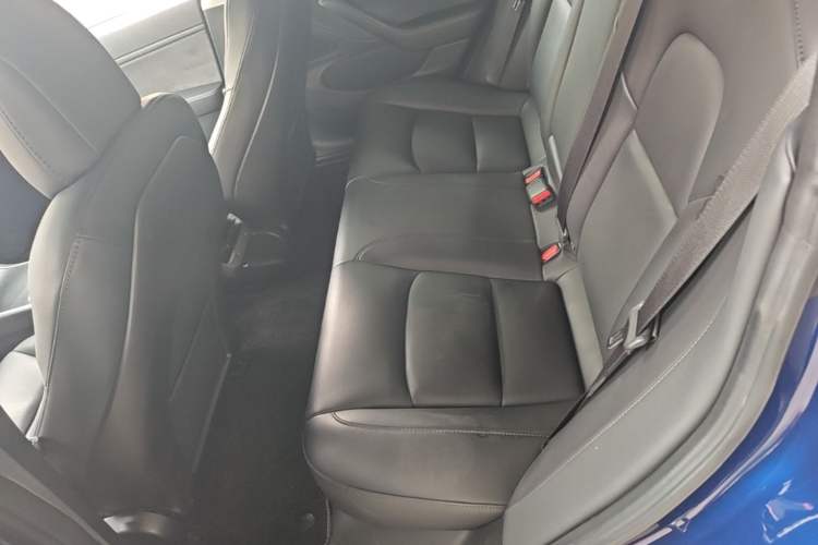Used Tesla Model 3 2019 Long-Range All-Wheel-Drive Version Left Rear Seat