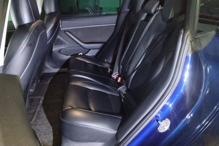 Used Tesla Model 3 2019 Standard Range Rear-Drive Upgraded Version Left Rear Seat
