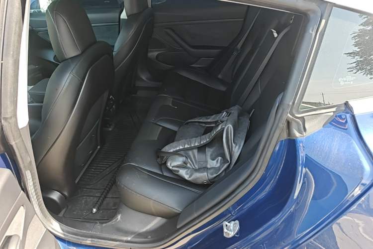 Used Tesla Model 3 2019 Standard Range Rear-Drive Upgraded Version Left Rear Seat