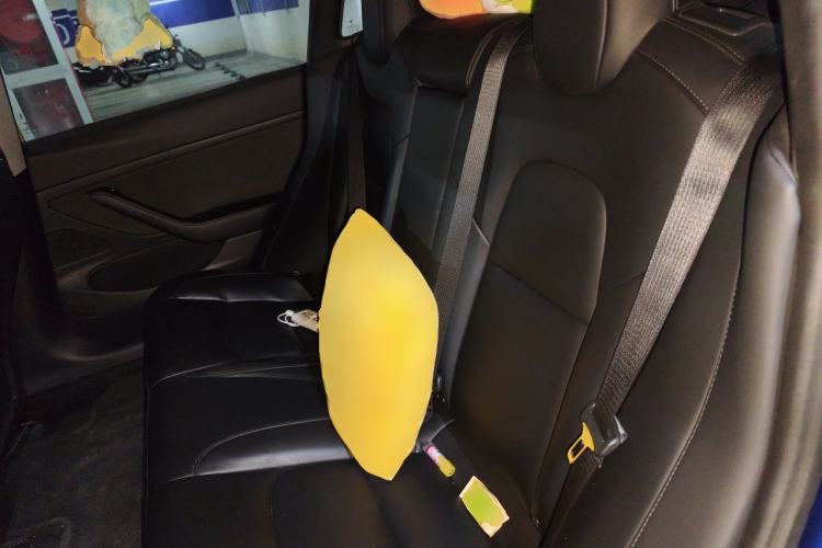 Used Tesla Model 3 2019 Standard Range Rear-Drive Upgraded Version Left Rear Seat