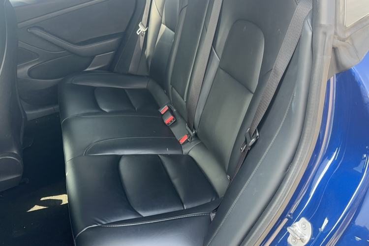 Used Tesla Model 3 2019 Standard Range Rear-Drive Upgraded Version Left Rear Seat