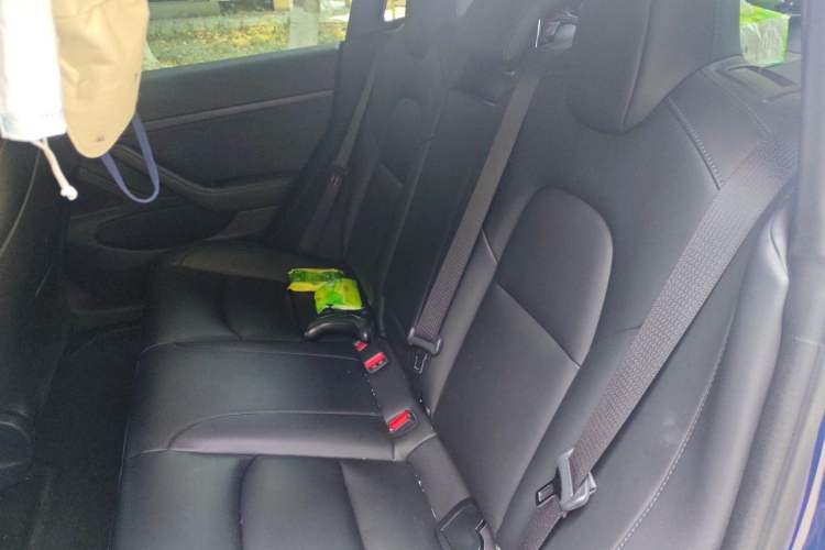 Used Tesla Model 3 2019 Standard Range Rear-Drive Upgraded Version Left Rear Seat