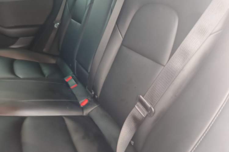 Used Tesla Model 3 2019 Standard Range Rear-Drive Upgraded Version Left Rear Seat