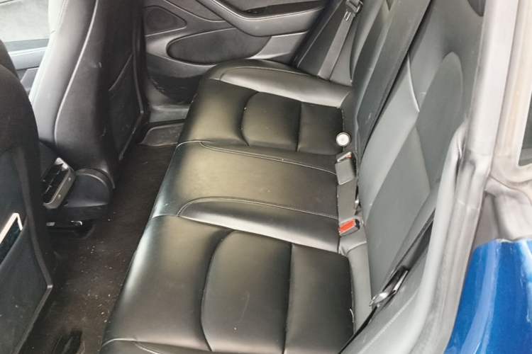 Used Tesla Model 3 2019 Standard Range Rear-Drive Upgraded Version Left Rear Seat